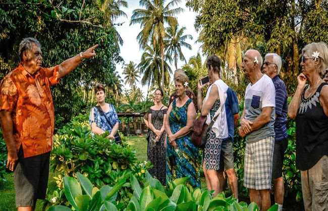 Dîner progressif privé avec les habitants de Rarotonga - Photo 1